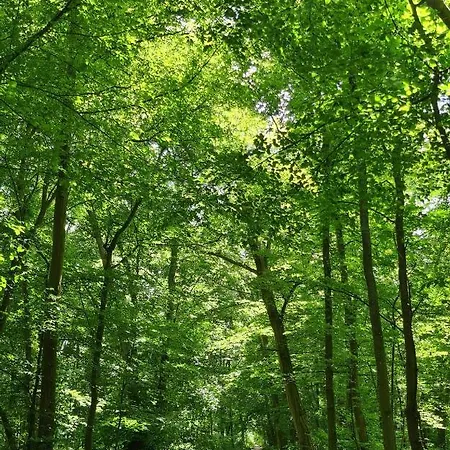 Maison Confort Avec Jardin - Chantilly, Senlis, Parc Asterix, Paris Cdg *